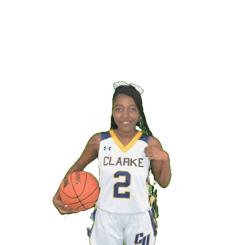 Clarke Athletics Sticker by Clarke University