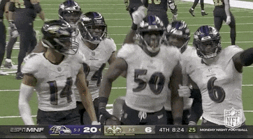 Baltimore Ravens Football GIF by NFL