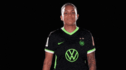Look At This GIF by VfL Wolfsburg