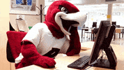 RiponCollege tired sleep sleepy bored GIF