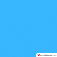 Animation Wow GIF by sendwishonline.com