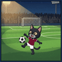 Excited Lets Go GIF by CATBAT
