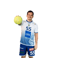 Handball Flugel Sticker by SV Salamander Kornwestheim