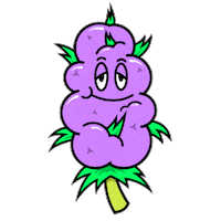 akronico chill relax purple weed Sticker