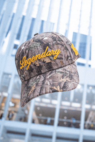 Head Hat GIF by VeeFriends