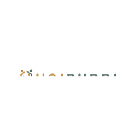 unibuddi color horizontal transparent bg unibuddi Sticker