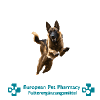 Canicross Sticker by Europeanpetpharmacy