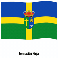 Flag Spain GIF by Formación Ninja
