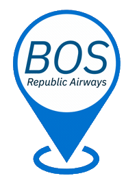 Plane Pilot Sticker by Republic Airways
