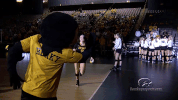 volleyball GIF by University of Iowa Hawkeyes Athletics