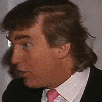 Jeffrey Epstein Trump GIF