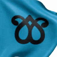 turukkflag azerbaijan azərbaycan türk qaraqoyunlu GIF
