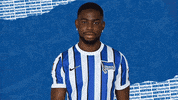 Sorry Bundesliga GIF by Hertha BSC