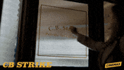 the cuckoo's calling cb strike GIF by Cinemax
