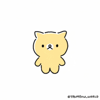 Cat Understand GIF