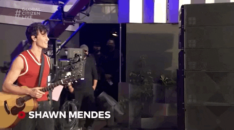 Shawn Mendes GIF by Global Citizen