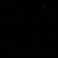 space dogs GIF by Darruda