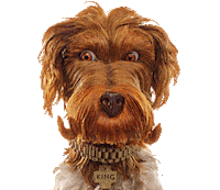 Isle Of Dogs King Sticker by Searchlight Pictures