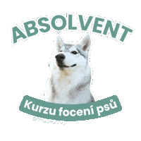 Student Photoshoot Sticker by mrackova.foto