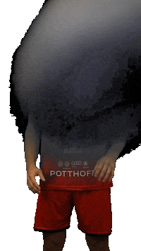 Handball Sticker by ASVHammWestfalen