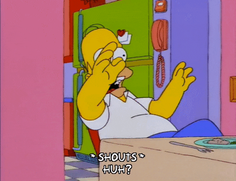 homer simpson GIF