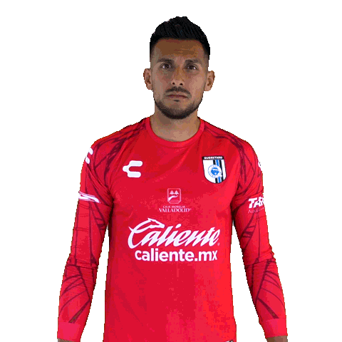 Liga Mx Gallos Sticker by Club Querétaro