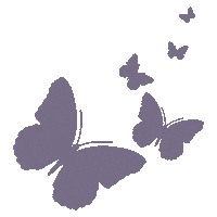 Butterflies Sticker by Shelly Saves the Day