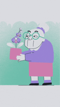 Ssaft GIF
