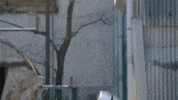 Kamen Rider GIF