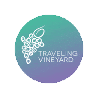 Wine Guide Sticker by Traveling Vineyard