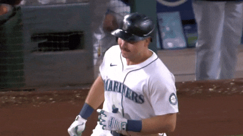 Home Run Sport GIF by MLB