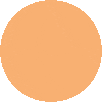 Tasteofmalawi logo women orange tom Sticker