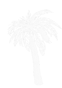 Beach Rose Sticker
