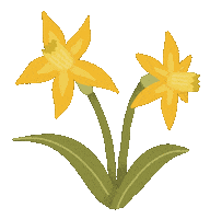 Flower Sticker by studionough