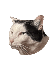Sticker Side Eye Sticker