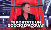 Nek GIF by The Voice of Italy