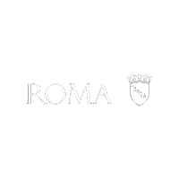 Italy Italia Sticker by Roma Capitale