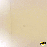 funk come in GIF by PULS