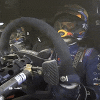 Driving Never Give Up GIF by FIA World Rally Championship