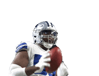 Celebrate Dallas Cowboys Sticker by NFL