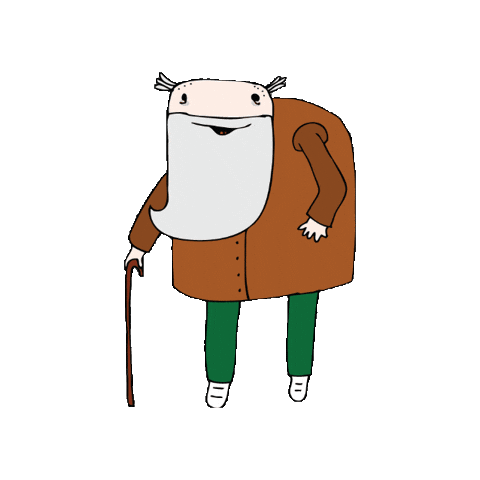 geluidshuis giphyupload vladimir geluidshuis kabouter korsakov Sticker