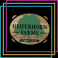 Real Estate GIF by Hughston Homes