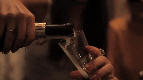 thebeachesband giphydvr cheers drinks champagne GIF