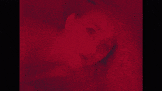 Music Video Disney GIF by Aly & AJ