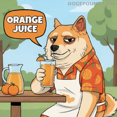 Orange Juice Drinking GIF by Doge Pound