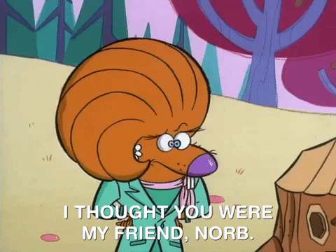 nickrewind giphydvr nicksplat angry beavers giphyab017 GIF