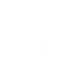 xoxofarmgirl white chicken farm pollo Sticker