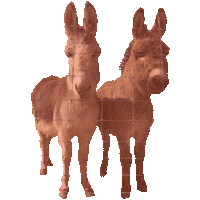 xoxofarmgirl donkey xoxofarmgirl talk farm to me disco donkey Sticker