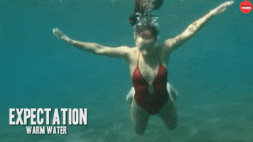 Spring Break Beach GIF by BuzzFeed