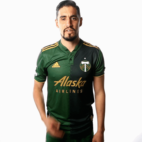 Portland Timbers Sport GIF by Timbers